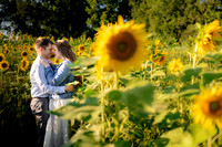 Kristen & Matthew "Sussex County Sunflower Maze"