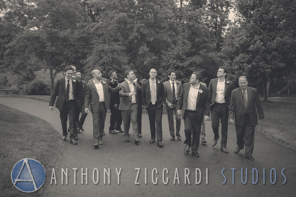 Anthony Ziccardi Studios