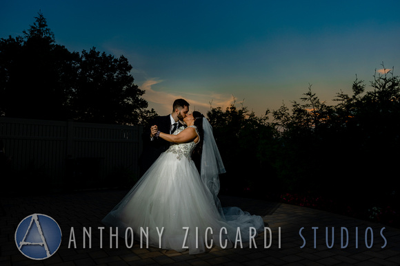 Anthony Ziccardi Studios